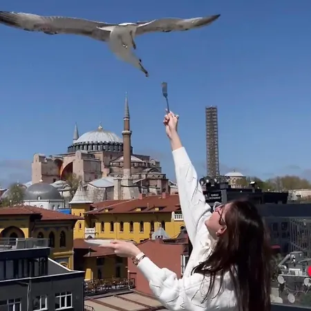 Hotel Byzantium Comfort 3*